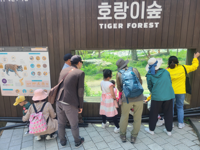 ▲ 관람객들이 가든스테이 프로그램에 참가해 호랑이숲을 구경하고 있다.