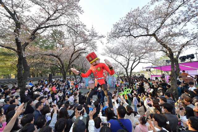 ▲ 경주 대릉원돌담길에서 진행되고 있는 지난해 벚꽃축제 장면.
