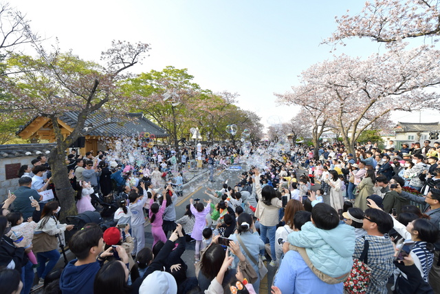 ▲ 경주 대릉원돌담길에서 지난해 열리고 있는 벚꽃축제 장면.