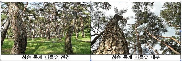 임산물산지유통센터 이미지