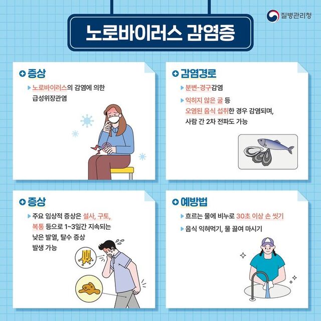 노로바이러스 감염 예방, 변기 뚜껑 닫기만으로 충분할까? 5 치료제 없는' 노로바이러스 감염 환자, 10년 내 최고 수준 대규모 유행 - 대구일보