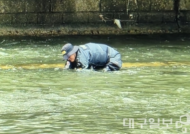 대구 캐리어 시신 사건 수사