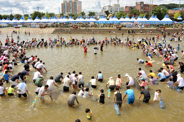 Tourists enjoying the experience of catching freshwater loaches with bare hands in Naeseongcheon stream